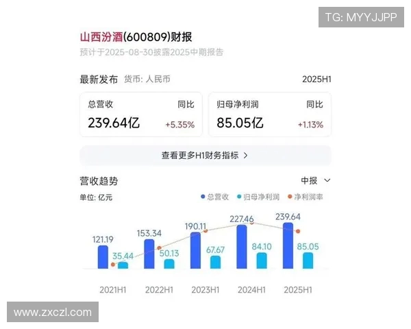山西汾酒股份创新发展战略探索及其在国内外市场的竞争力分析