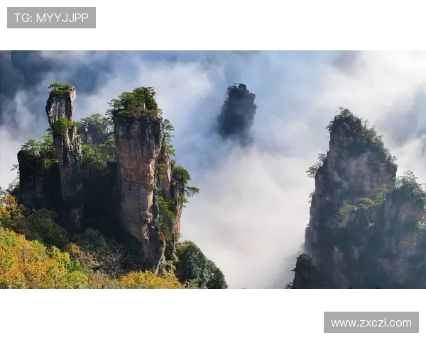 张家界队奋勇拼搏展现山城精神谱写绿茵场壮丽新篇章