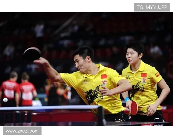 乒乓球激情碰撞展现速度与智慧完美结合的竞技魅力