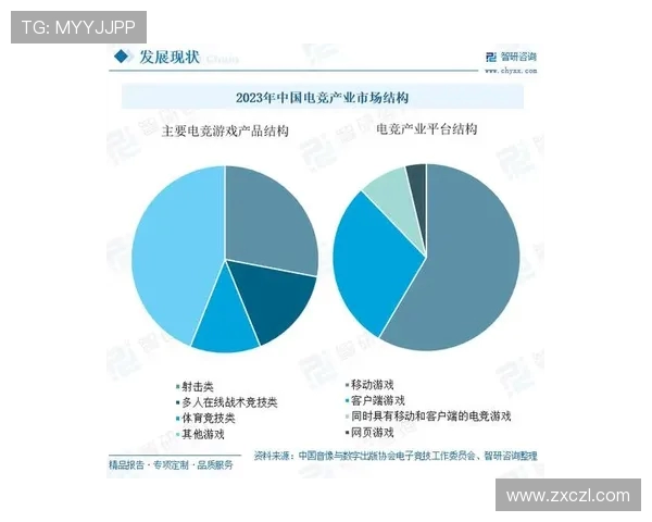 电竞产业崛起与发展趋势分析探索：未来十年的市场前景与技术创新