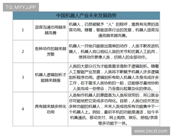 网球运动发展历程与未来趋势分析：从技术革新到全球化影响