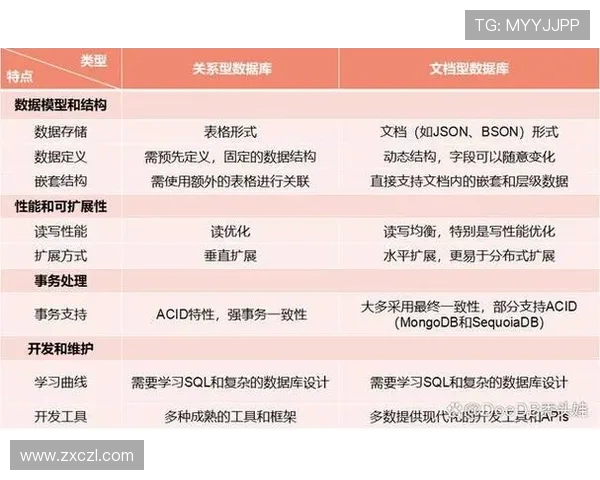 深入探讨北京排球队的力量表现与数据分析成果 深入探讨北京排球队的力量表现与数据分析成果