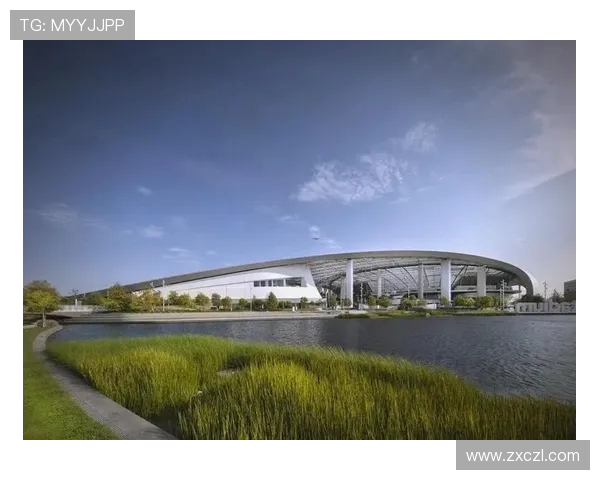 全面解析全球体育发展趋势与未来创新，探讨体育产业的商业化与全球化影响